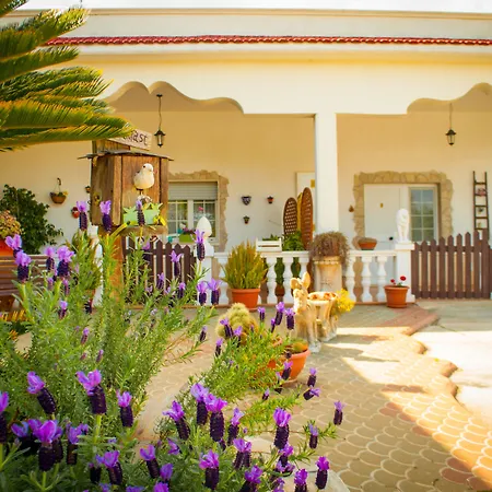 B&B Pietrafitta-2